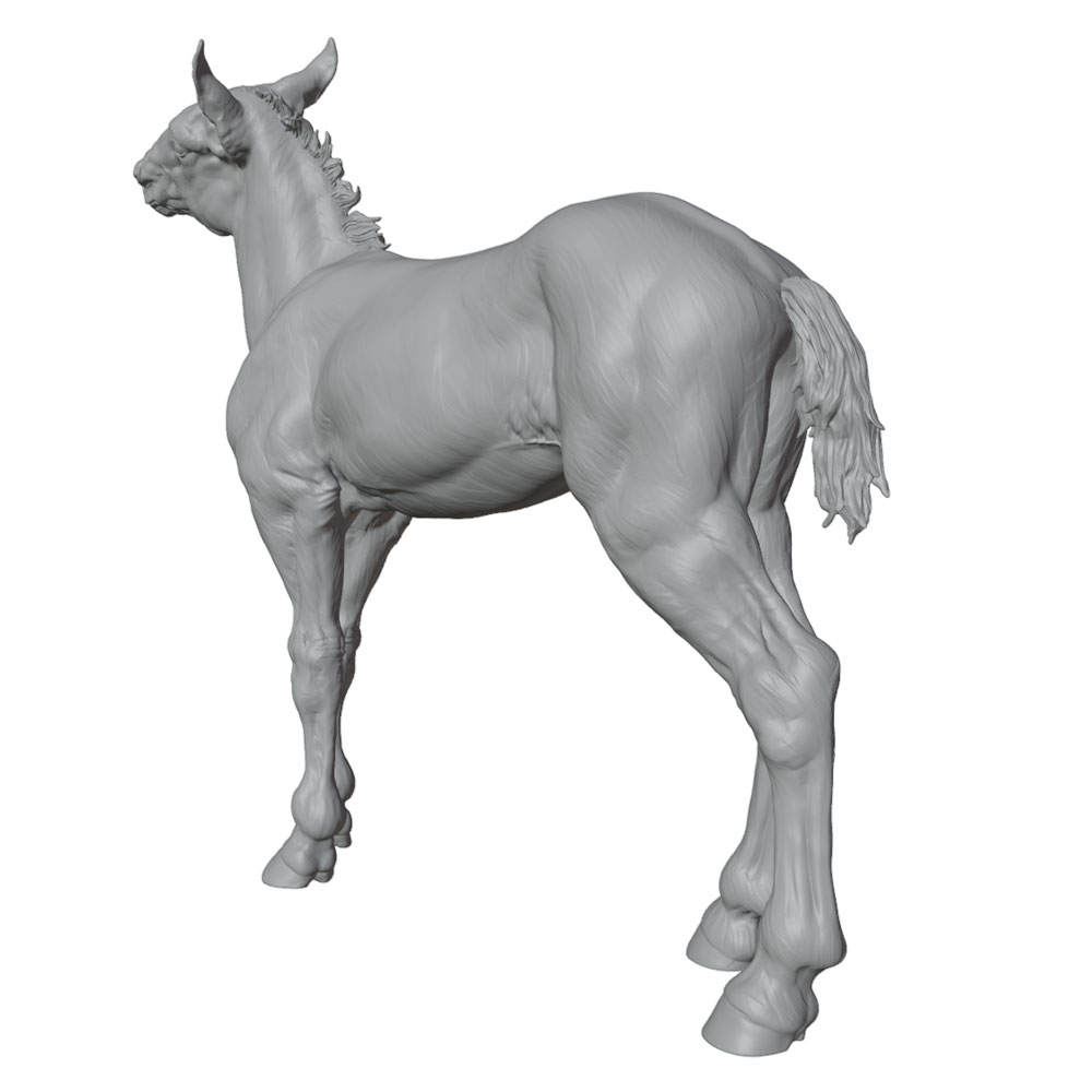 High-Detail Printing, Realisti - 3D Printing Jobs 评论和价格