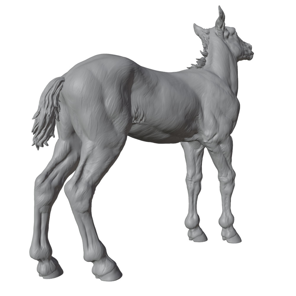 High-Detail Printing, Realisti - 3D Printing Jobs 评论和价格