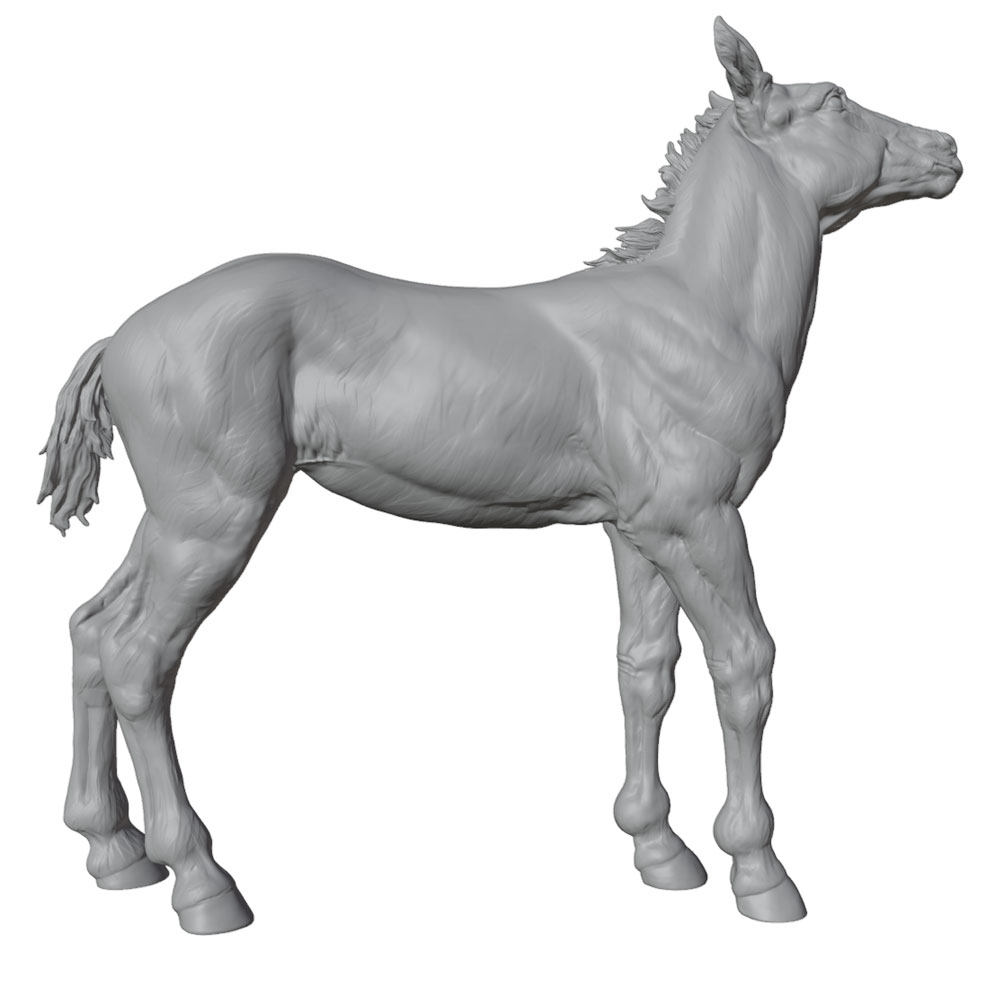 High-Detail Printing, Realisti - 3D Printing Jobs 评论和价格