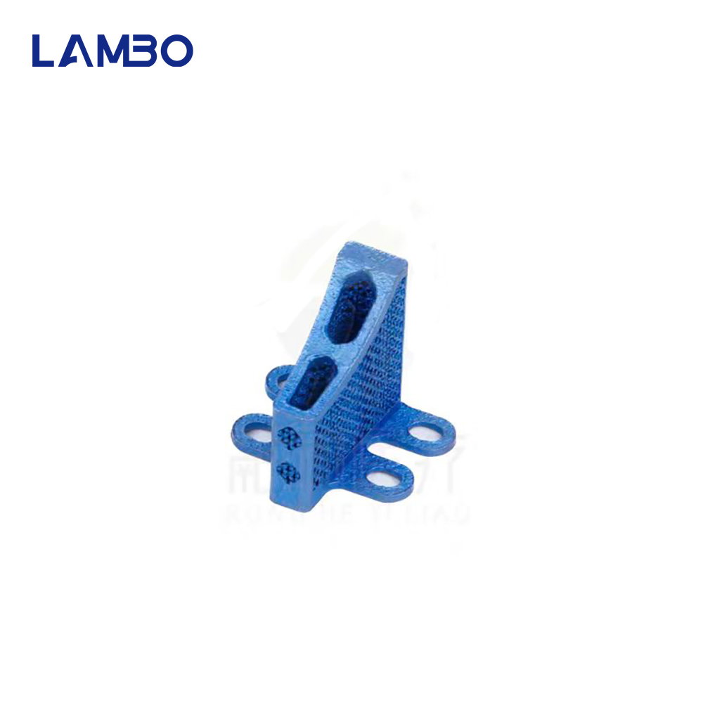 3D Printing TTA System Cage Bo - 3D Printing Orthopedics 评论和价格