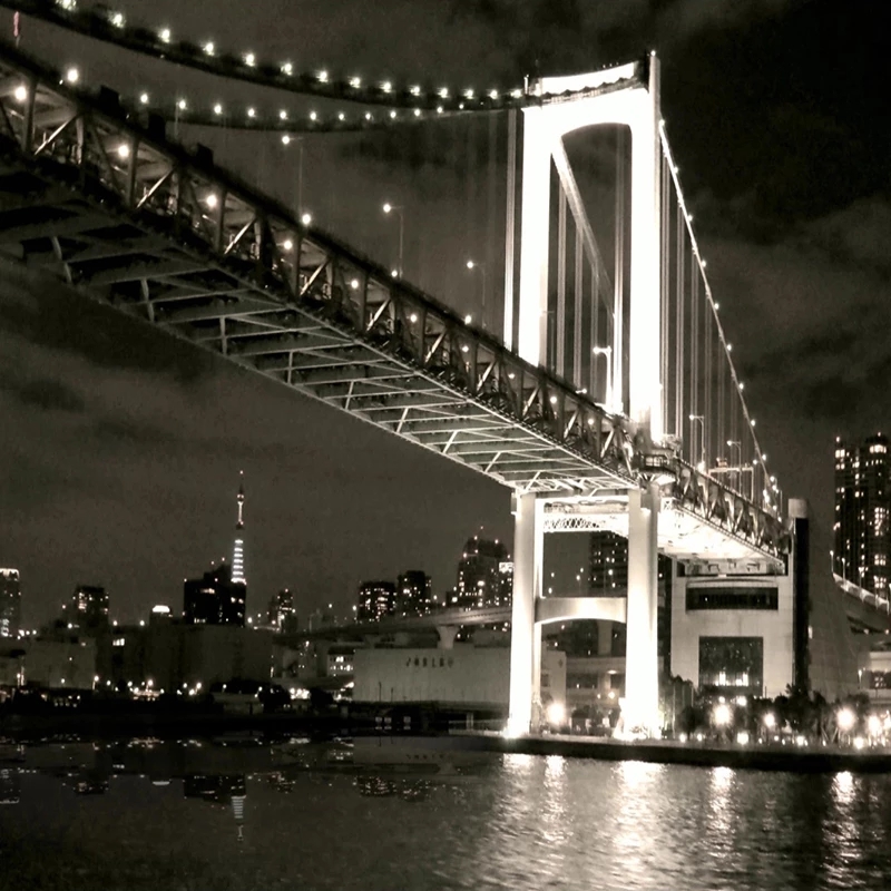 Custom City Night View Bridge  - 3D Printing Cafe 评论和价格